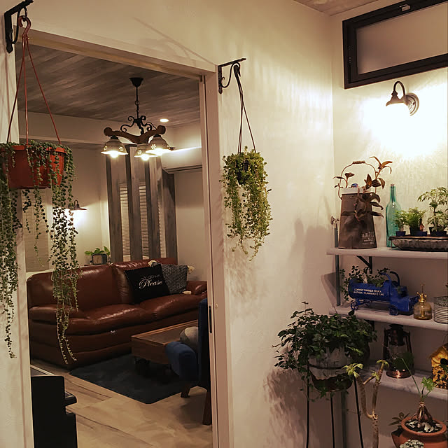 癒しの空間/観葉植物/雑貨/多肉植物/照明...などのインテリア実例 - 2019-10-14 19:31:12