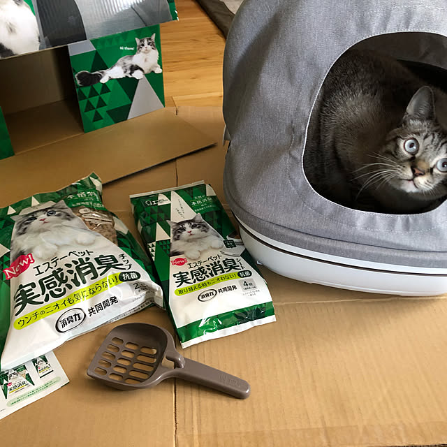 8717さんの実例写真