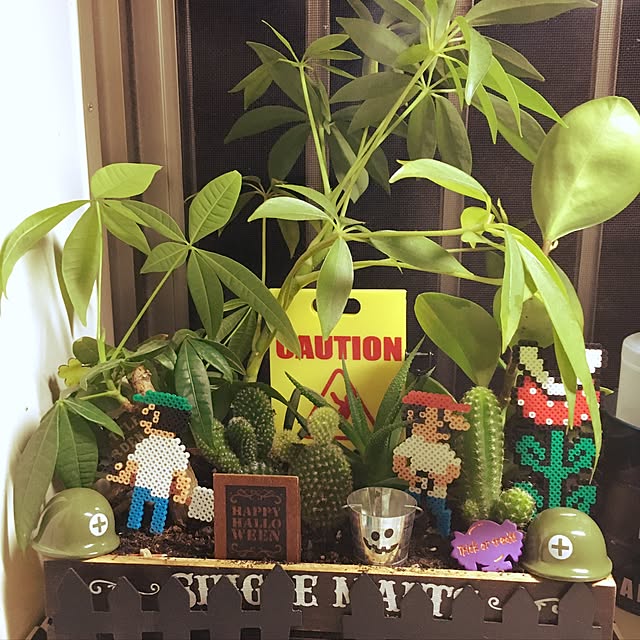 sattonさんの実例写真