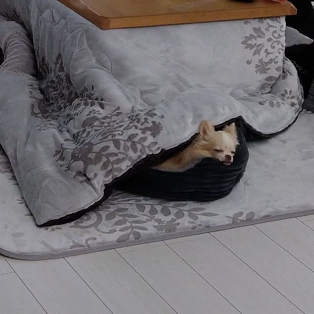 Roseさんの実例写真