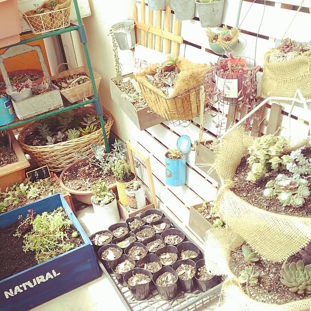 naturalさんの実例写真