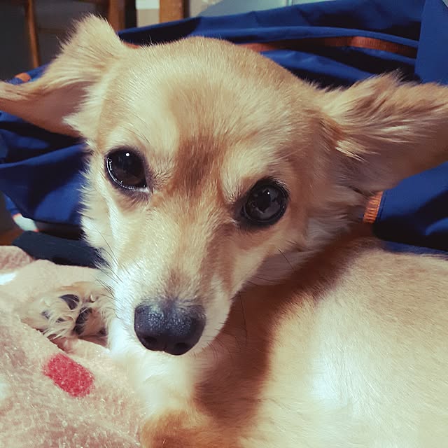 keikoさんの実例写真