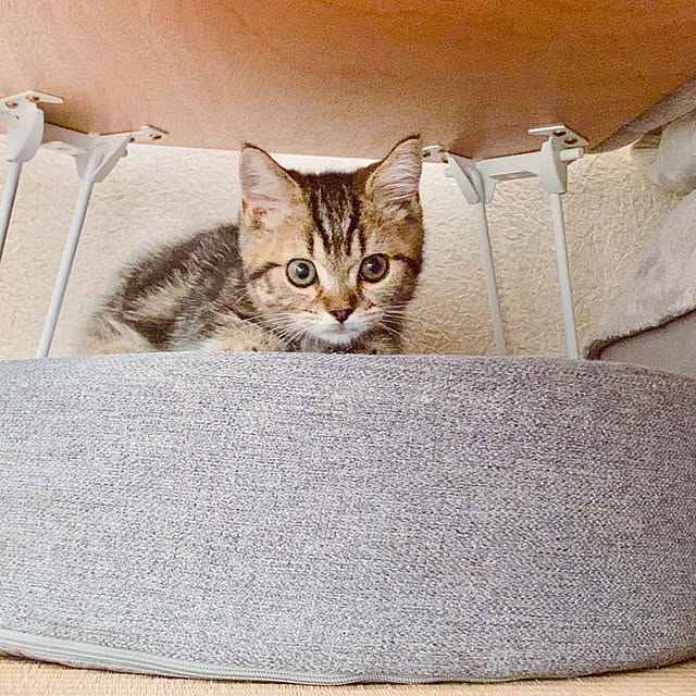 chiiさんの部屋