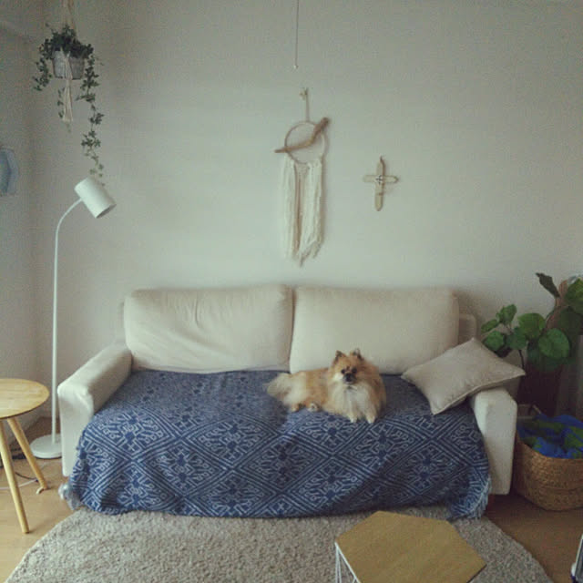 Mamiさんの実例写真