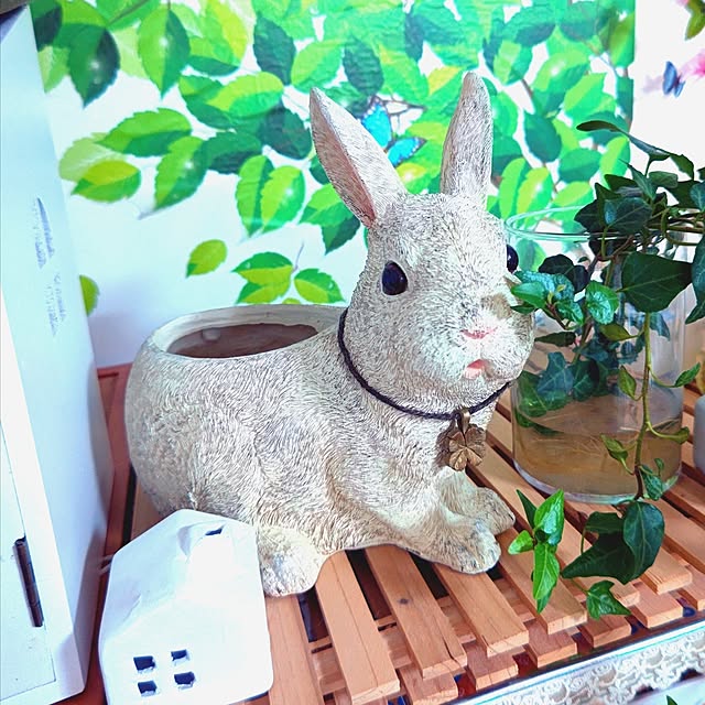 mariaさんの実例写真