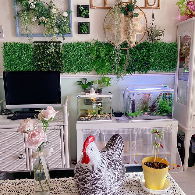 machakoさんの部屋