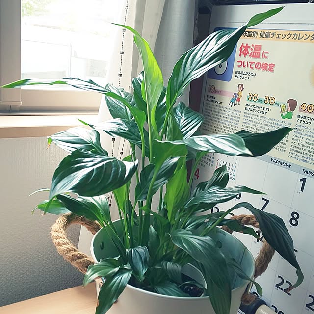 KOHAKUさんの部屋