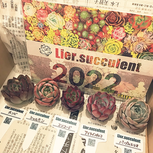 kiriwakaさんの実例写真