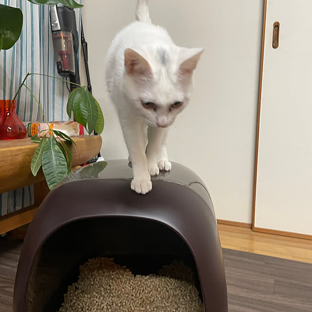 328さんの実例写真