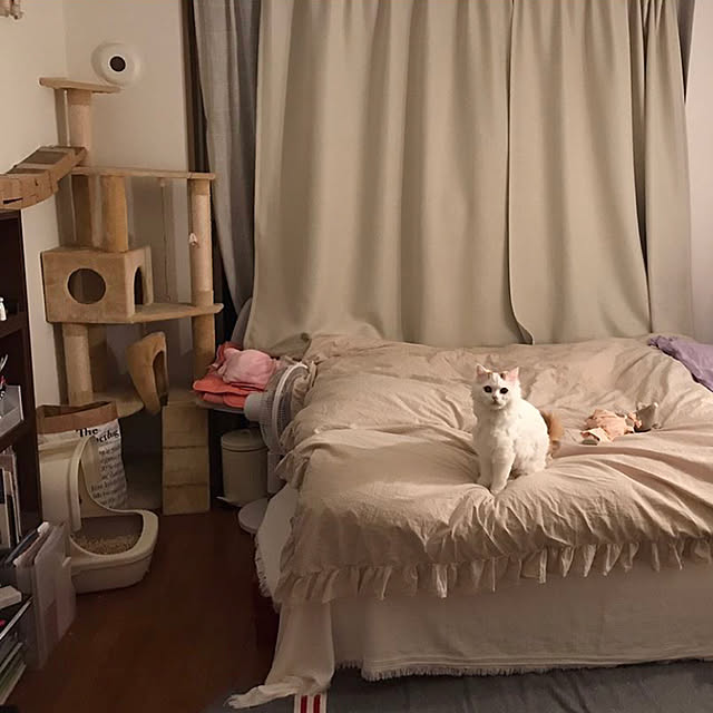 実例写真