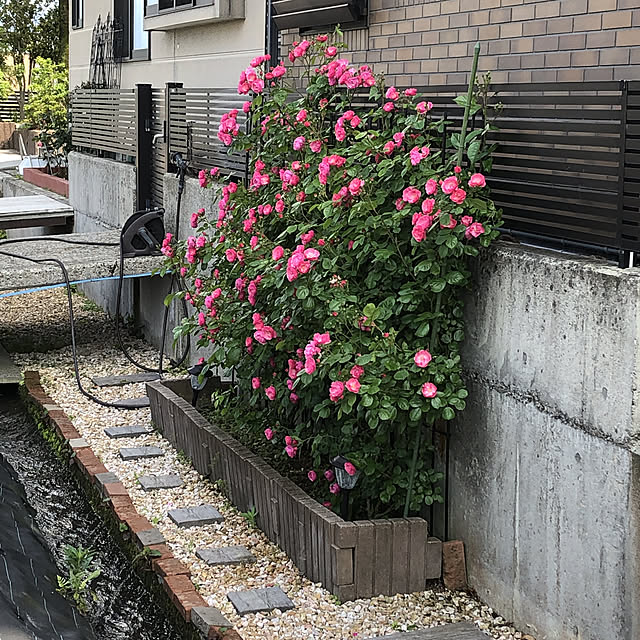 kumakichiさんの実例写真