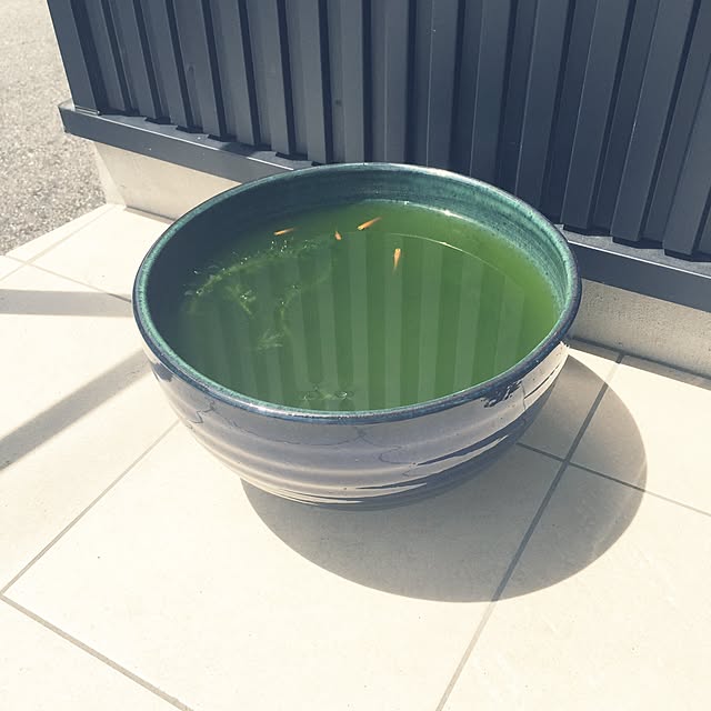 riaさんの実例写真