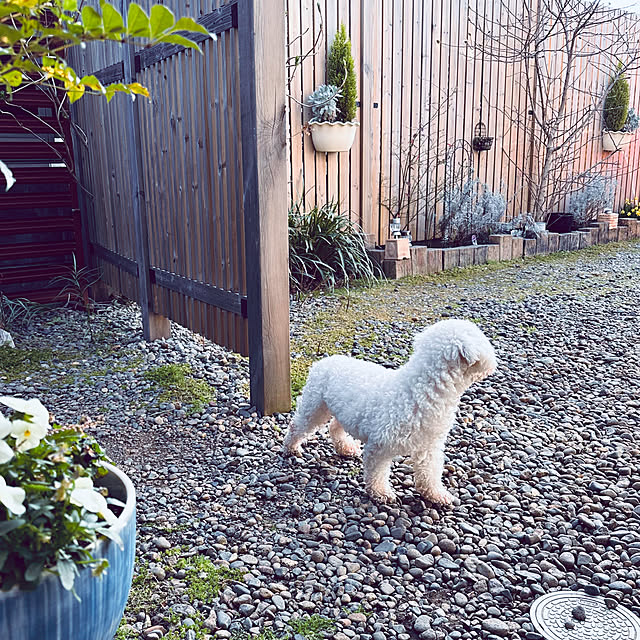 chacoさんの部屋