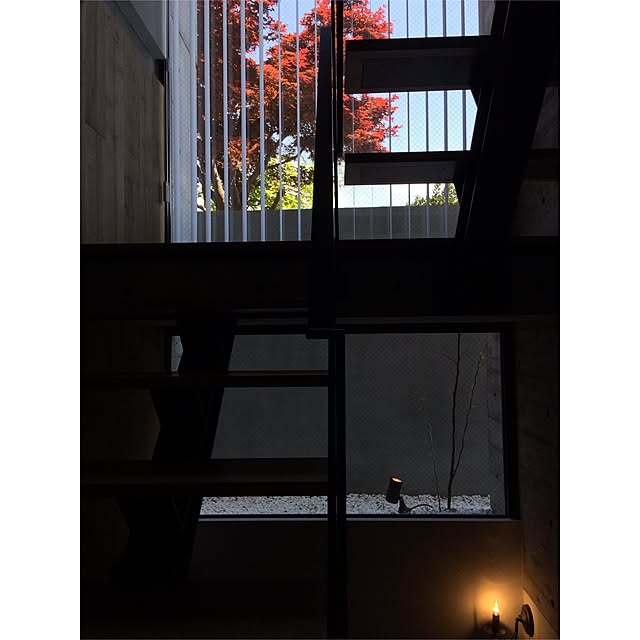 ninさんの実例写真