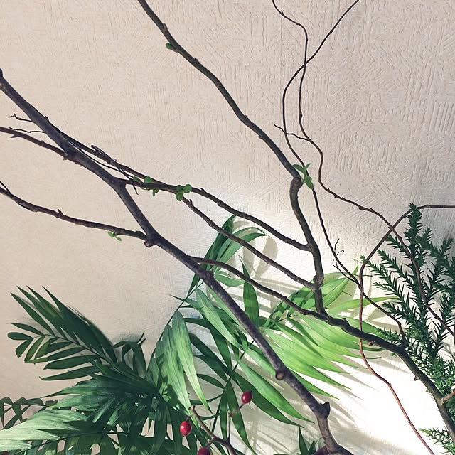 oliveandcheeseさんの実例写真