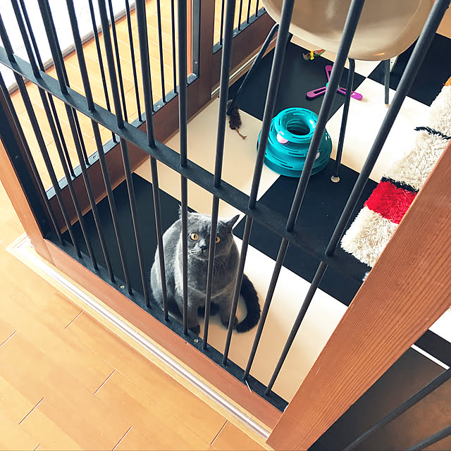 Shojiさんの実例写真