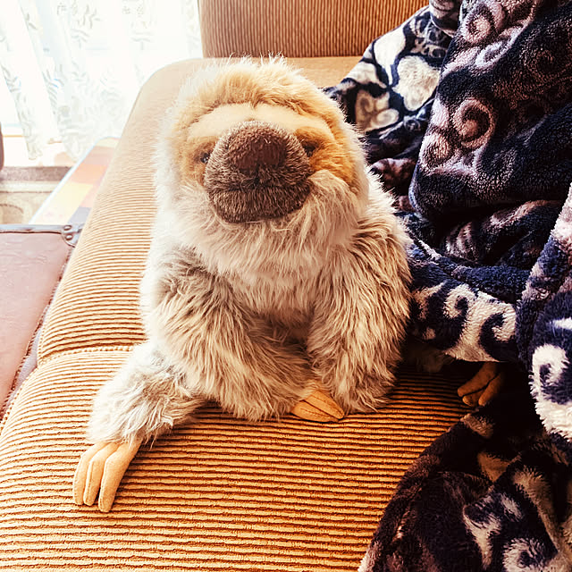 kochimaruさんの実例写真