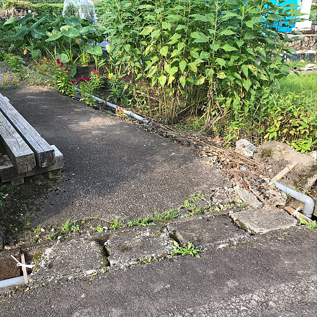 aoinokimiさんの実例写真