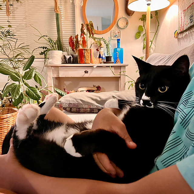 ochoriさんの部屋