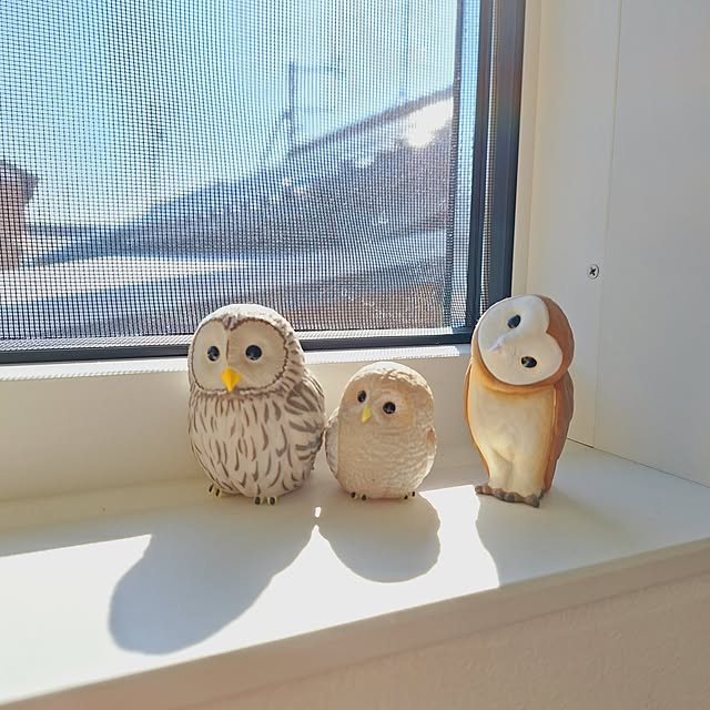 otokiさんの実例写真