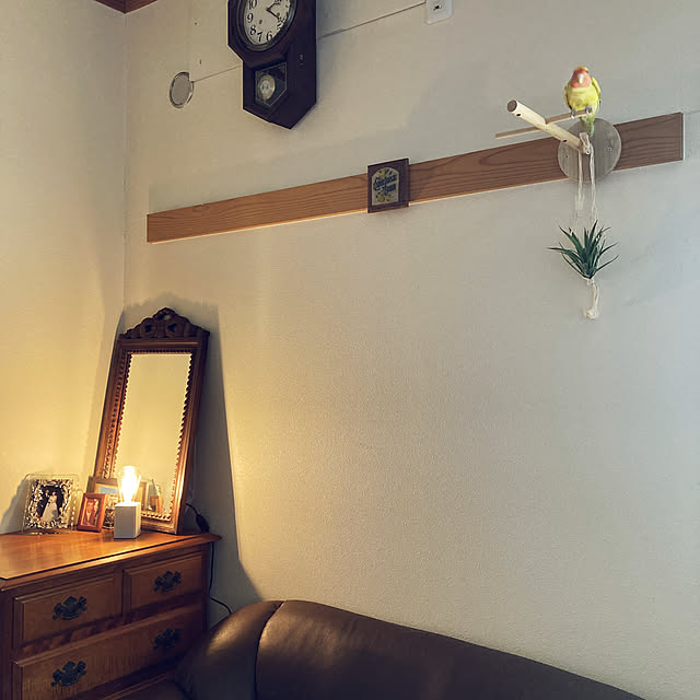 calmsweetsweetさんの実例写真