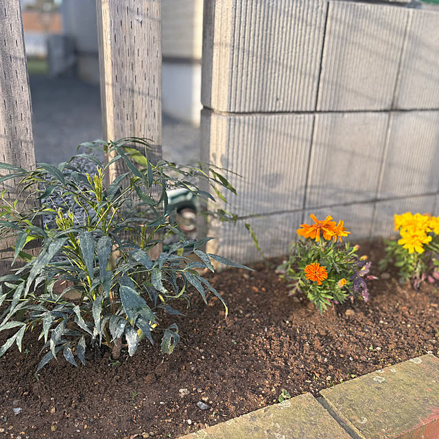 Haruさんの実例写真