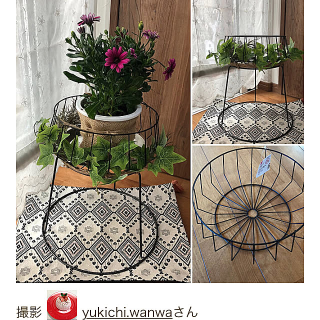 yukichi.wanwaさんの実例写真