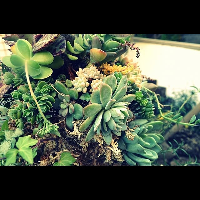 GreenWorksさんの実例写真