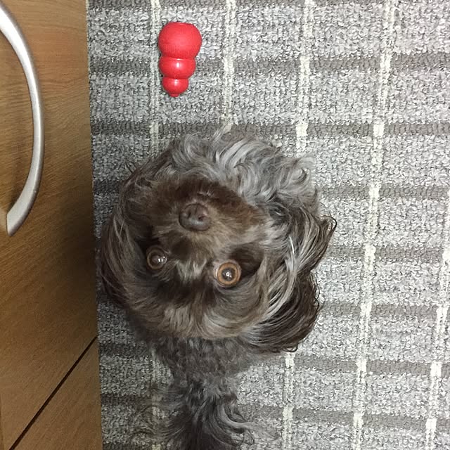 Mayumiさんの実例写真