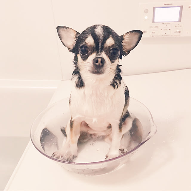 miiさんの実例写真