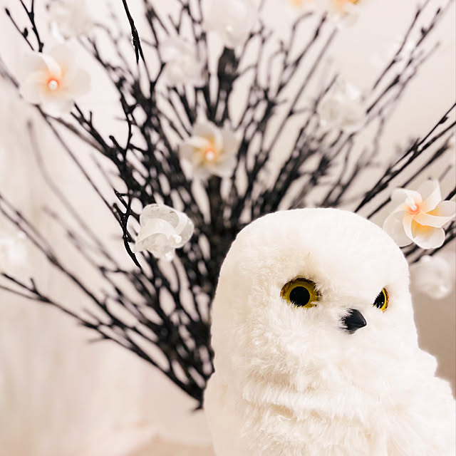 farekananiさんの実例写真