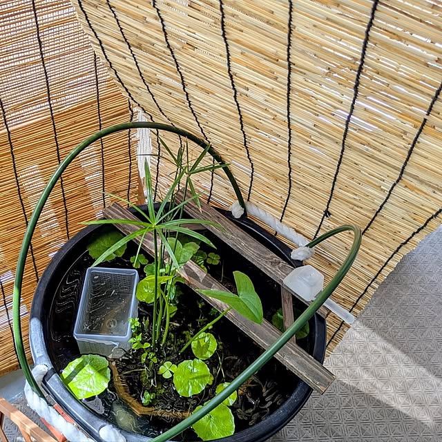 mi-saさんの部屋