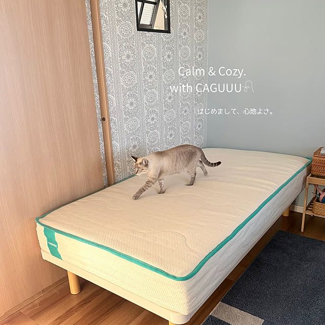 amさんの実例写真