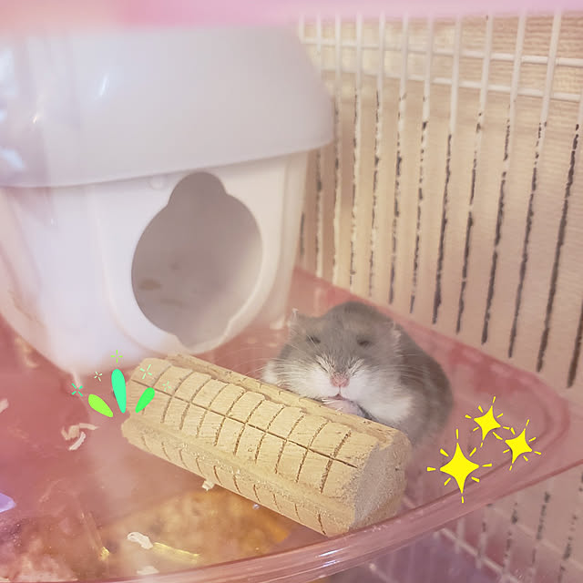 hanabutaさんの実例写真