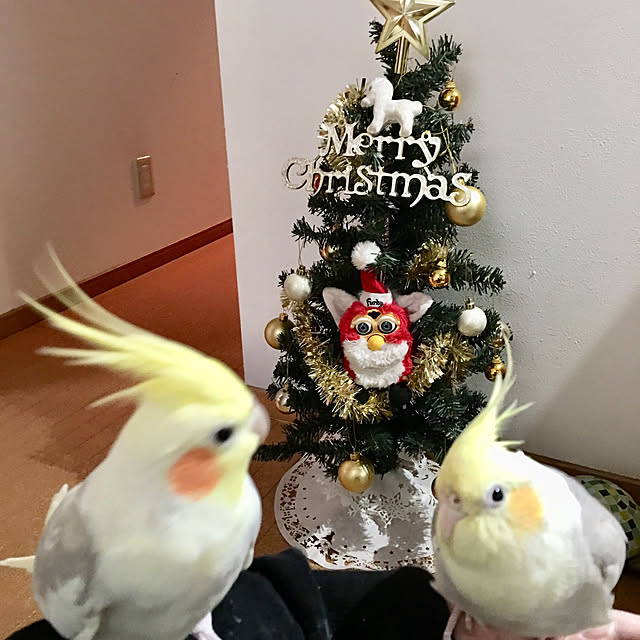 puriyuzuさんの実例写真