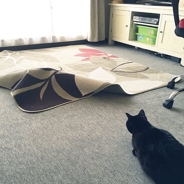 shigimiさんの実例写真