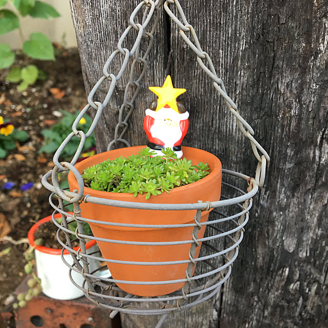 100均/クリスマス/セリア/玄関/入り口のインテリア実例 - 2021-11-16 08:49:29