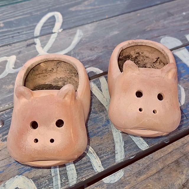 mocomocoさんの部屋