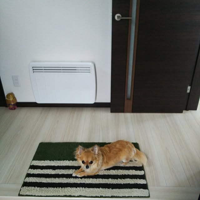 kojikojiさんの実例写真