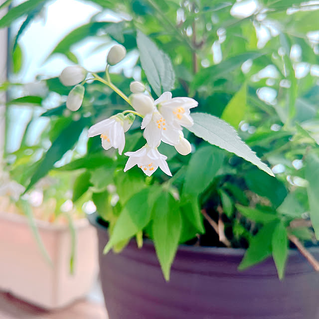 ponme33さんの部屋