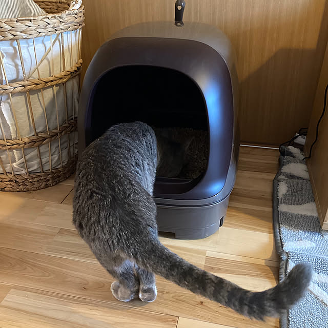 Yuccaさんの実例写真