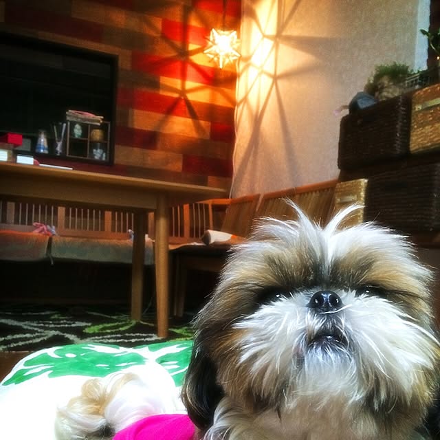 ANNAさんの実例写真