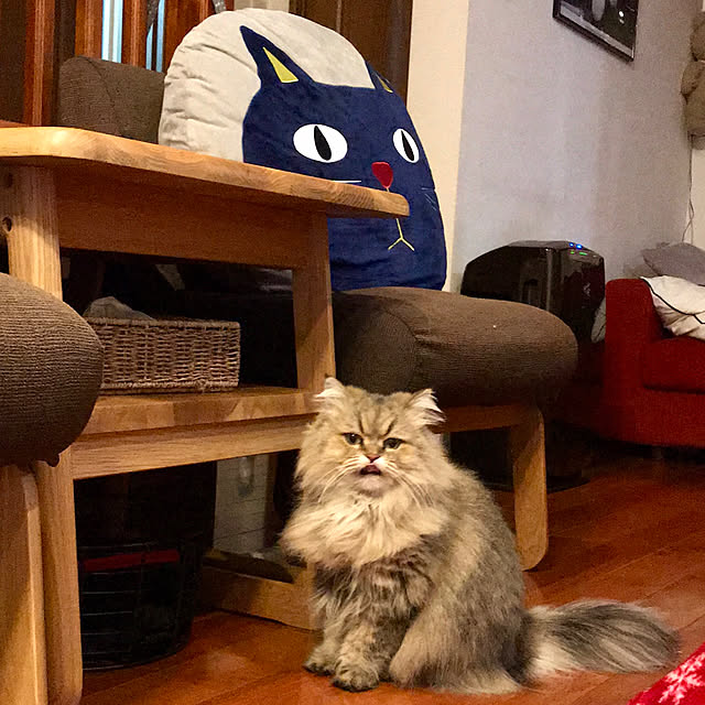 butachanさんの実例写真