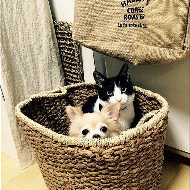 REINA612WORKSさんの実例写真