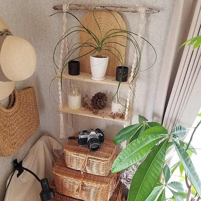 midoriさんの部屋