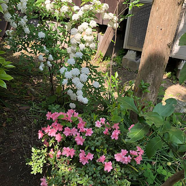naokazuさんの実例写真
