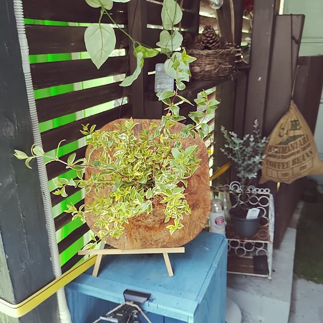 awadu-1970さんの実例写真