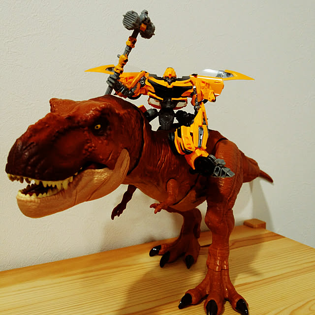 Rudyさんの実例写真