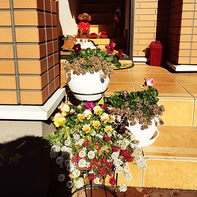 Hecacoさんの実例写真