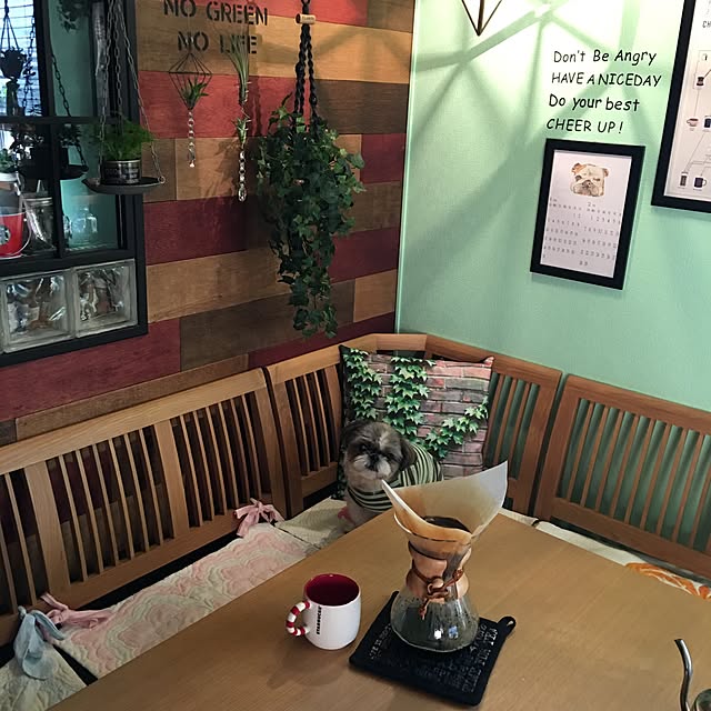 ANNAさんの実例写真